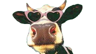Normandie Yadelagadou Vache Rigolote